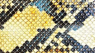 The Amazing Snakeheads - Amphetamine Ballads - Album Trailer (Official)