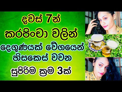 කරපිංචා වලින් කොන්ඩේ වවන සුපිරිම ක්‍රම 3ක් | Amazing Tips for Hair Regrowth with Curry Leaves