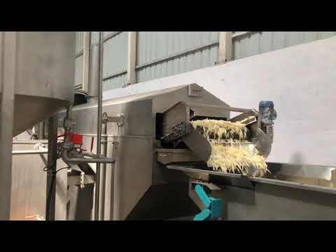 Fully Automatic Pellet (Fryums) Frying System
