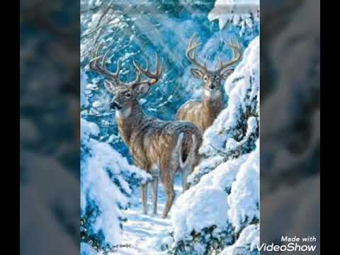 Das Kreuz am Berge❤(Yeniches Madl)