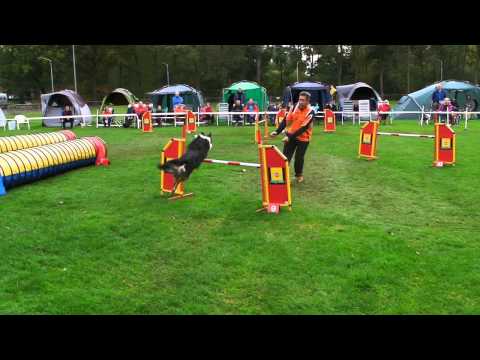 20131020 - Masters 2013 - Roy Fonteijn en Flinn - jumping.