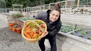 The First HUGE Harvest of the YEAR!