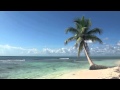Island Fever - Jimmy Buffett