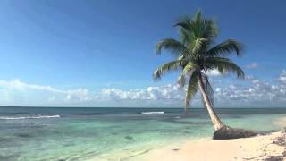 Island Fever - Jimmy Buffett