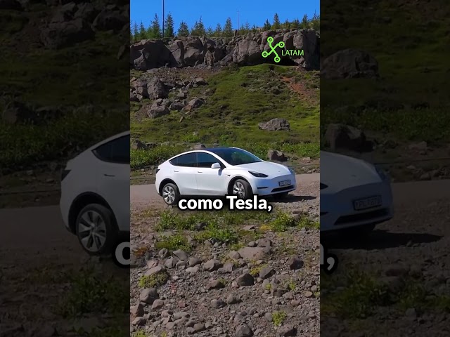 La asociación de Electro Movilidad que quiere que todos los carros sean eléctricos en México