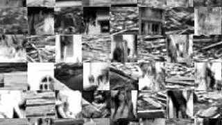 Wishful Thinking   Hiroshima Remember)