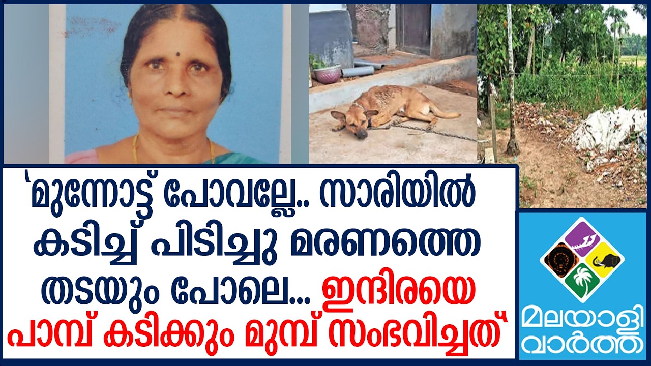 tragic incident in Alappuzha tragic incident in Alappuzha