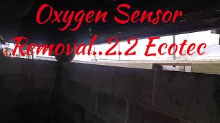 Oxygen Sensor Removal. 2.2 Ecotec