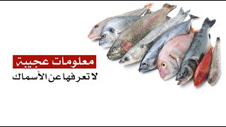 معلومات عجيبة لا تعرفها عن الأسماك معلومات عجيبة لا تعرفها عن الأسماك