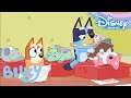 Bluey | Dokter Bluey ?‍⚕️ | Disney Channel NL