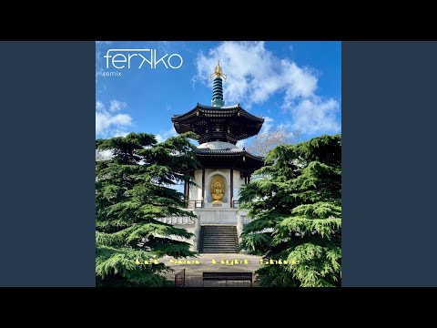 Let Your Light Shine (feat. GRiM Barsman) (ferKKo Vocal Remix)