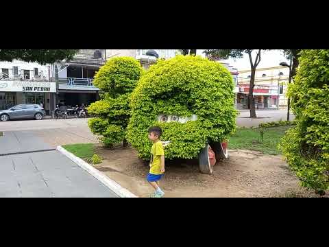 Plaza San Martin Tartagal Salta