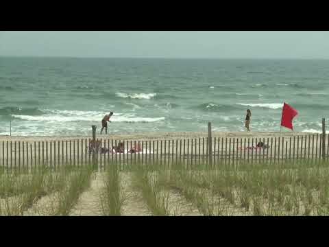 Rockaway Beach Shark Bite