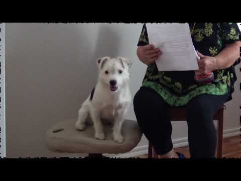 Poronhoitolaki vaatii uudistuksia