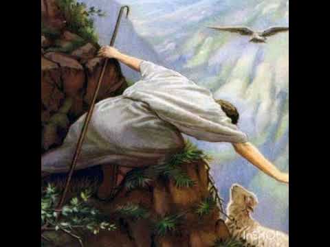 Himno 164. Oveja extraviada