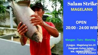 preview picture of video 'Lomba Mancing Galatama Ikan Bawal'