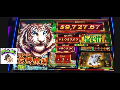 Sometimes $20 is all it takes❗️Nice wins on Mighty Cash 🐯