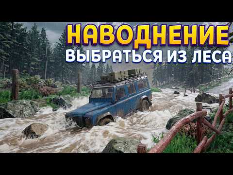 НАВОДНЕНИЕ В ЛЕСУ ( DrainSim )