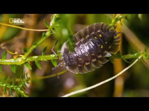 Islands of Europe National Geographic Best Documentary latest full HD 2020