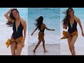 Actress Vedika Stunning Looks In Swim Suit Vedhika Latest Bikini Video Lollipop Cinema