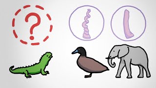 The Mystery Of The Missing Penis