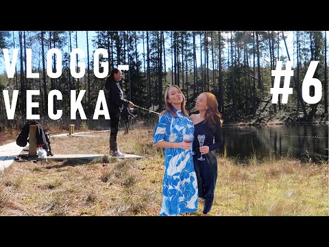 VLOGGVECKA DAG 6