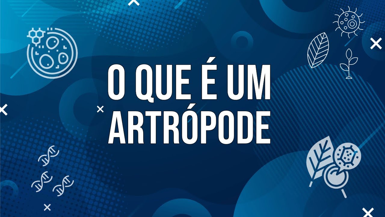 O que é Artrópode? Filo Artrópode