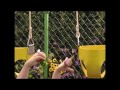 Uma Scolding Swing