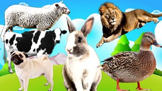 Download Lagu ANIMALS SOUNDS-VIDEOS-COW SOUND-DUCK SOUND-DOG SOUND- LION SOUNDS #ANIMALS SOUND Thumbnail