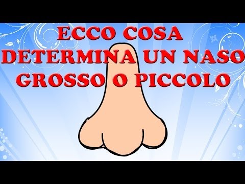 La pigmentazione su una faccia a quello che conduce Il pigmentary nota su gr