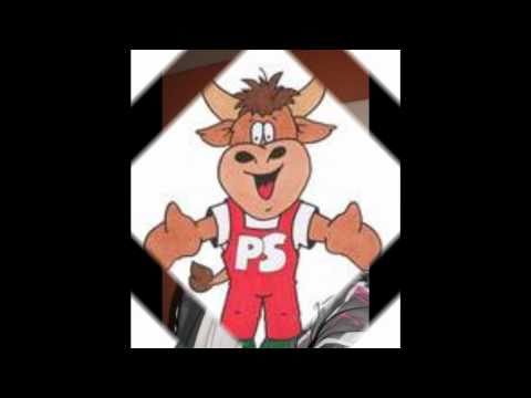 Pirmasens schafft sich ab - Trackconnetion feat. Alkavier & Mac Dam