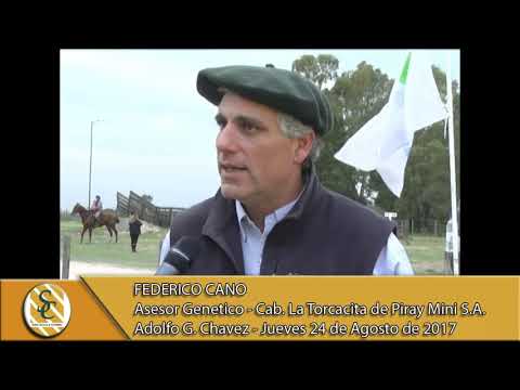 24-08-17 Nota Federico Cano - Cabaña La Torcacita - A. G. Chavez.