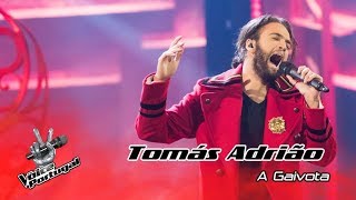 Tomás Adrião - &quot;A Gaivota&quot; (Amália Hoje) | Gala | The Voice Portugal