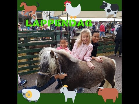 Jordan TV | Lappendag