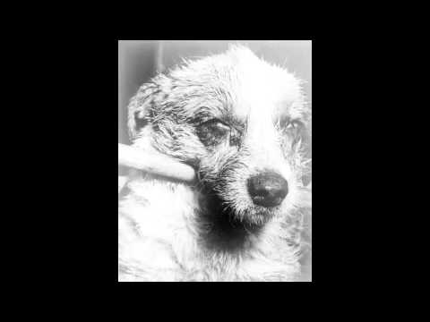 Gonguri - Yeonbyeon Kangpae