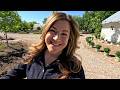 Creating A New Flower Bed From Start To Finish Garden Answer