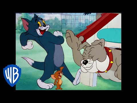 Tom y Jerry en Español | La noche divertida | WB Kids