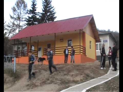 COMENIUS FIRST MEETING STOILESTI