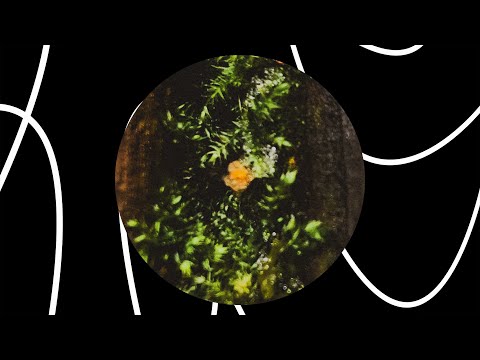 Enivrèz Vous - Unsolved [UTR050]