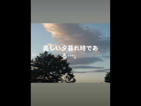 日本文化学科 美しい夕暮れ時