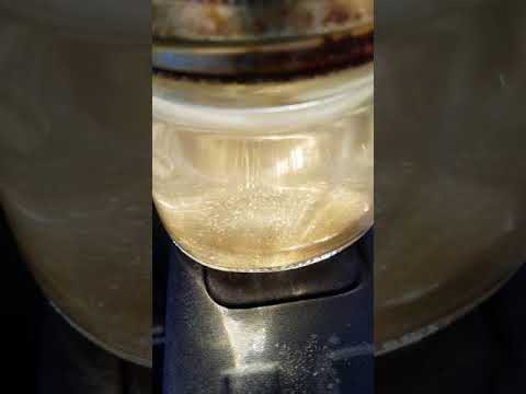 Odderon Theory Dolan Courtney