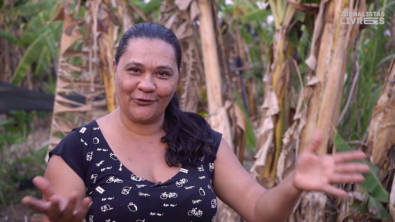 "Sonhos no chão, sementes da educação”.
