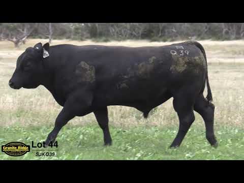 GRANITE RIDGE QUICKSILVER Q39