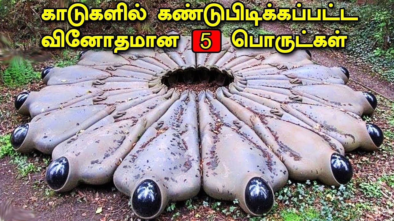 காடுகளில் கண்டுபிடிக்கப்பட்ட வினோதமான 5 பொருட்கள் | Mysterious Things found in woods
