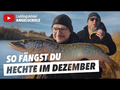 FANGGARANTIE - So fängst du HECHTE im Dezember 🎣 ✅