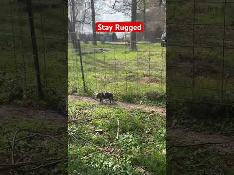 Rugged Ranch Poultry Feeder Product Review