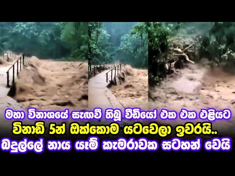 මේ වගේ වතුරෙන් බේරෙන එකත් හාස්කමක් | Ganwathura News