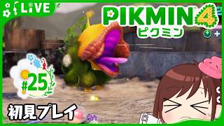でっかいやつ倒して無限岩ピクミンしたい【ピクミン4初見プレイ】 #おはようvtuber  #25