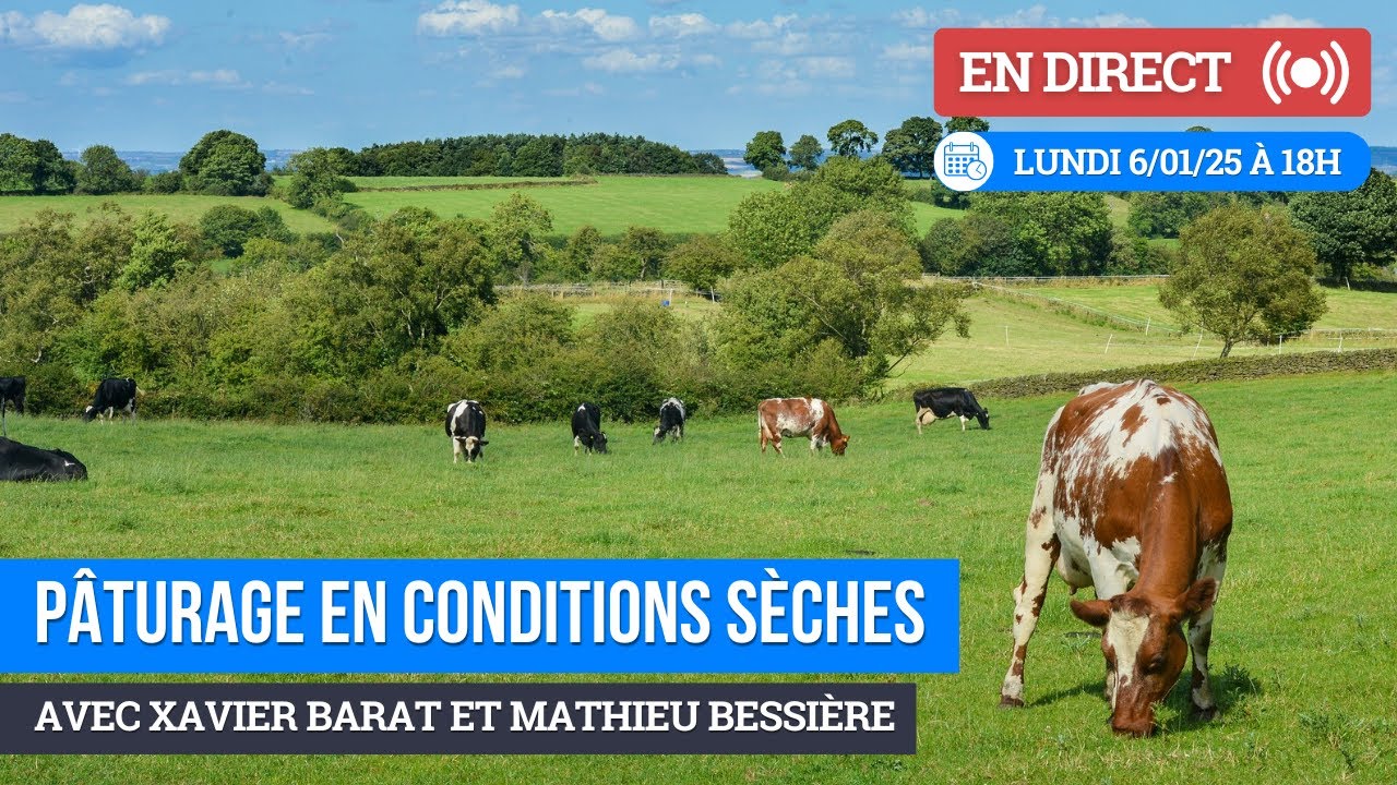 WEBINAIRE : Pâturage en conditions de sécheresse, Mathieu Bessière & Xavier Barat