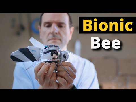 BionicBee Review Video 2